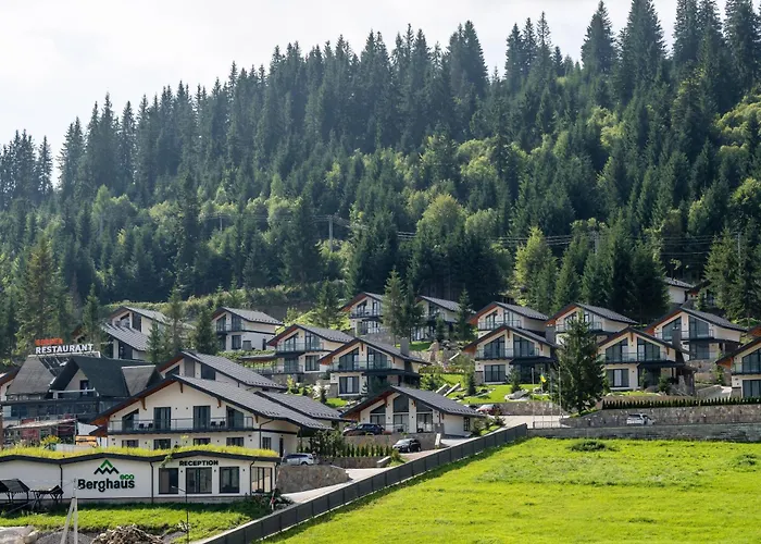 Ecoberghaus - котеджне містечко Dağ evi Bukovel